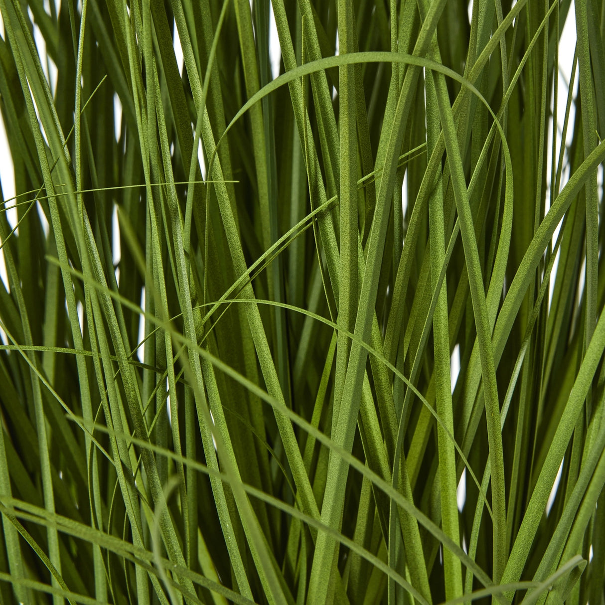 Close-up of the tall green stems and slender blades of the Hill Interiors Large White Allium Plant In Pot, showing the layered plastic foliage detail.