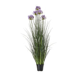 Hill Interiors Large Purple Agapanthus Plant In Pot with tall green grass-like stems and clustered violet florets in a black pot on a white background.