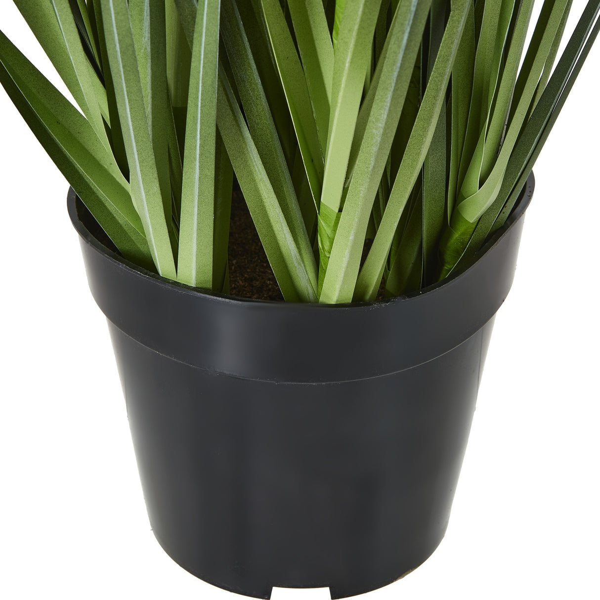 Close-up of Hill Interiors Large Purple Agapanthus faux potted plant base showing strappy green leaves gathered in a matte black plastic pot.