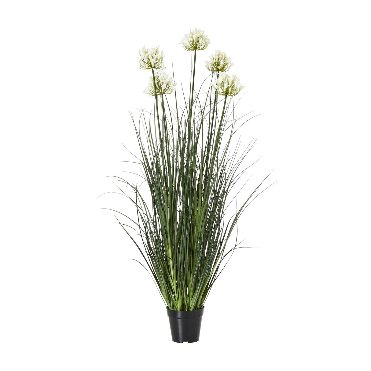 Hill Interiors Large White Agapanthus faux potted plant with tall white floret clusters and arching green grass foliage in a black pot on a white background.