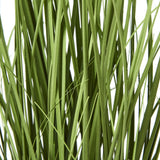 Close-up of the green strappy leaves and stems of the Hill Interiors White Agapanthus Plant In Pot against a plain white background.
