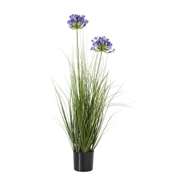 Hill Interiors Blue Agapanthus faux potted plant with two purple flower heads rising above long green grass-like leaves in a black pot on a white background.