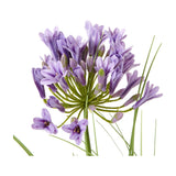 Hill Interiors Purple Agapanthus faux plant close-up showing a spherical cluster of lilac star-shaped blooms and buds on green stems against a white background.