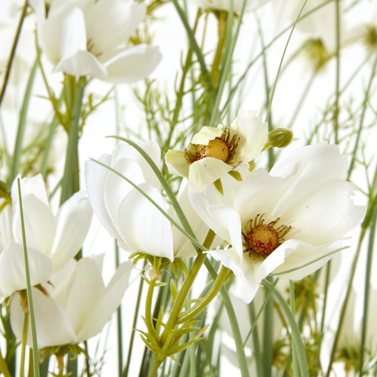 Close-up of Hill Interiors Large White Meadow Plant In Pot showing delicate white blooms with yellow centres on slim green stems against a light background.