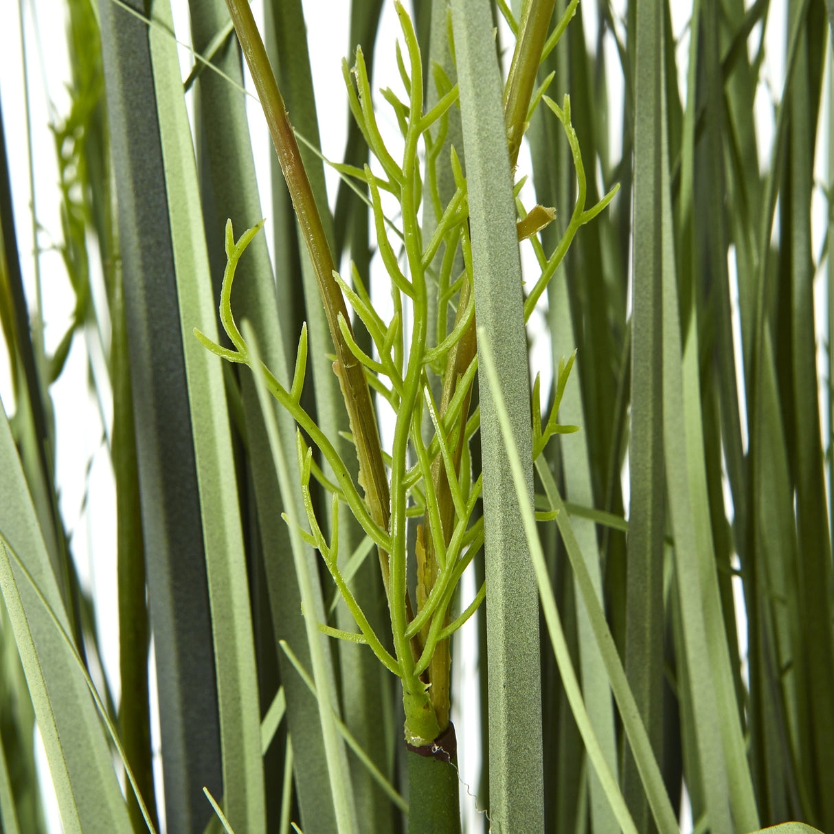 Close-up of the Hill Interiors Large White Meadow Plant showing slender green blade-like stems and delicate feathery foliage against a white background.