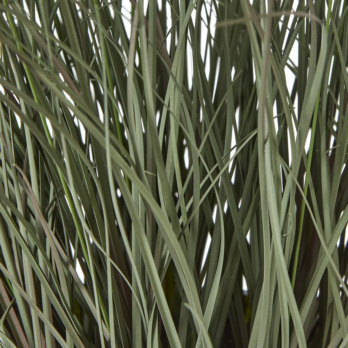 Close-up of the Hill Interiors Fountain Grass Plant In Pot, showing slender green plastic blades with tapered tips against a plain white background.