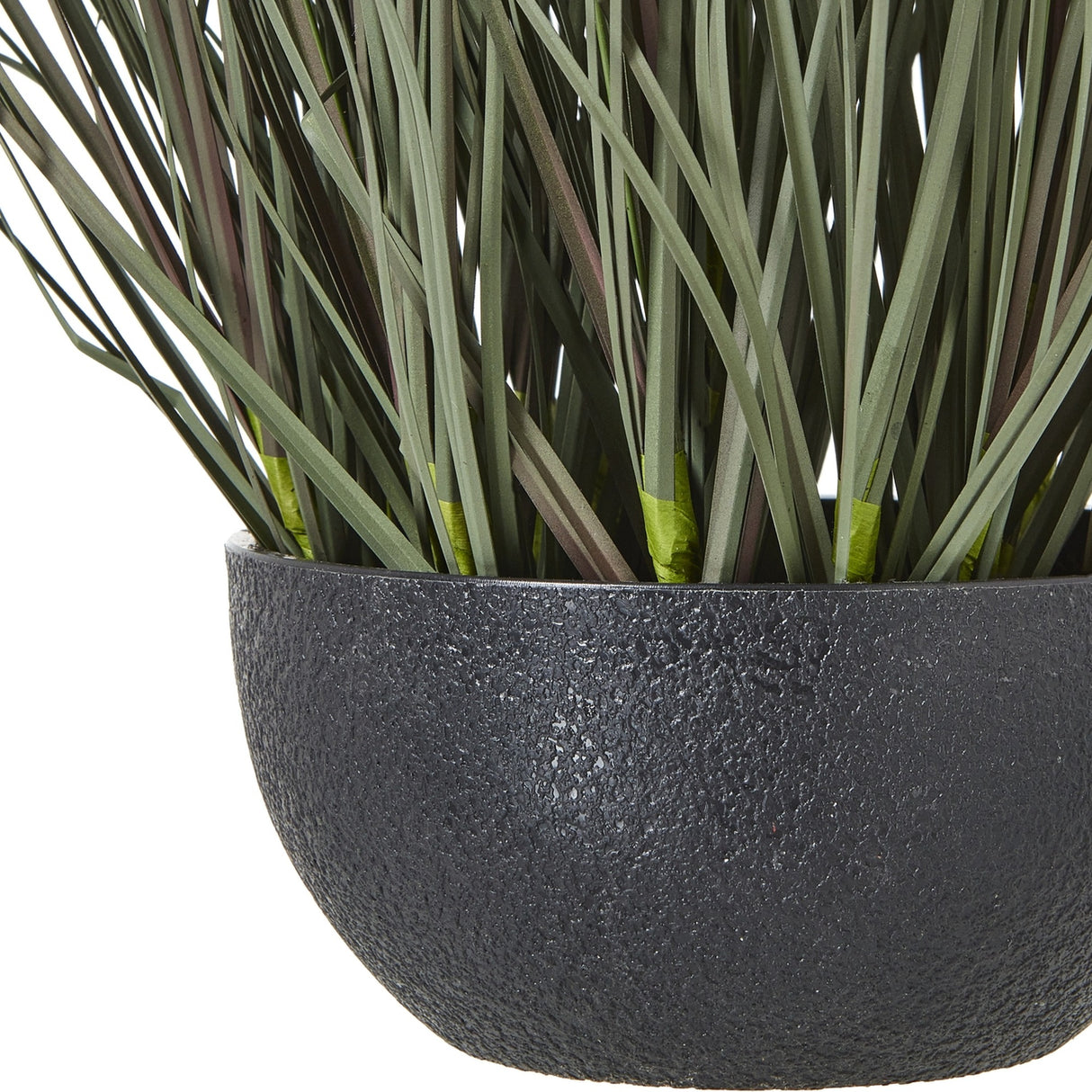 Close-up of Hill Interiors Fountain Grass Plant In Pot, showing slender green blades rising from a textured matte black bowl planter.