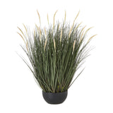 Hill Interiors Large Fountain Grass Plant featuring tall green blades and feathery cream plumes set in a matte black pot on a white background.