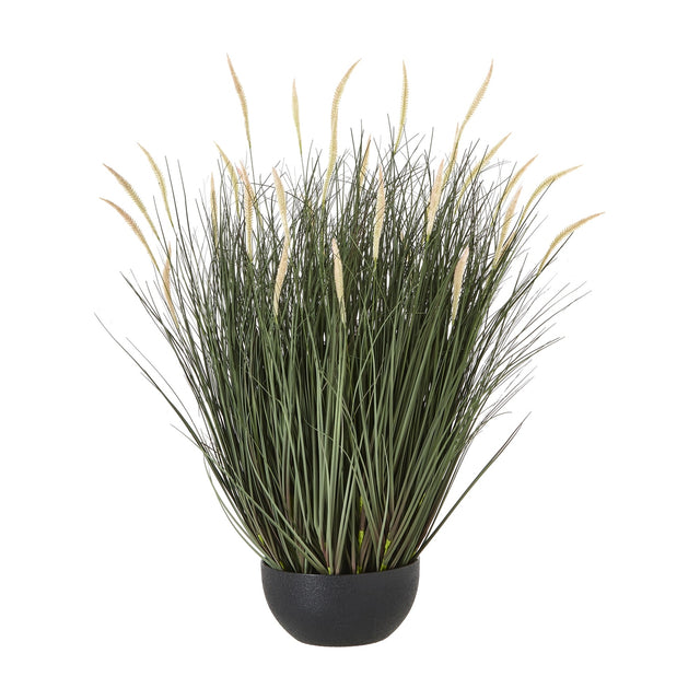 Hill Interiors Large Fountain Grass Plant featuring tall green blades and feathery cream plumes set in a matte black pot on a white background.
