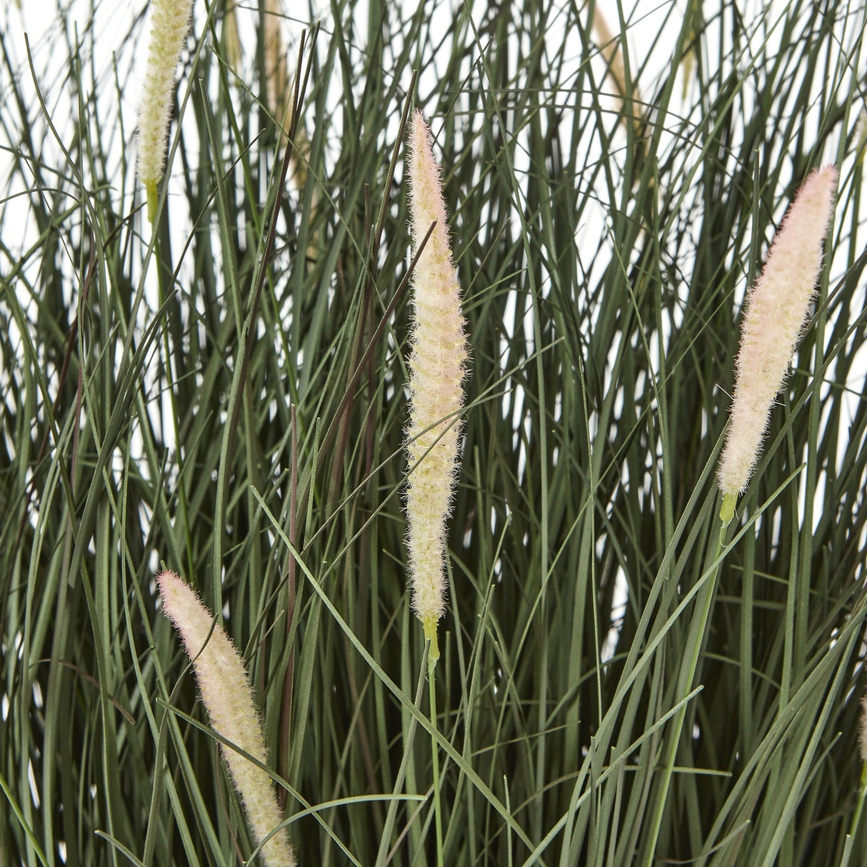 Close-up of Hill Interiors Large Fountain Grass faux plant showing slender green blades and soft cream-pink feathery plumes against a white background.