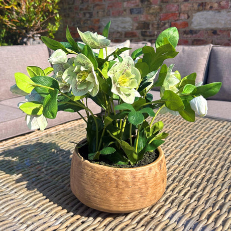 Hill Interiors green hellebore faux plant with cup-shaped blooms and lobed foliage in a taupe pot, set on a woven table beside a grey outdoor sofa.