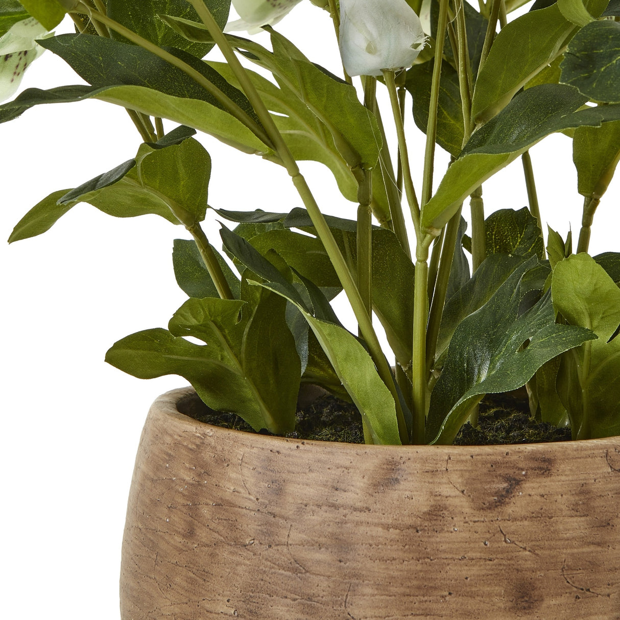 Close-up of Hill Interiors Green Hellebore faux plant showing lobed serrated leaves and pale cup-shaped blooms rising from a textured taupe pot.