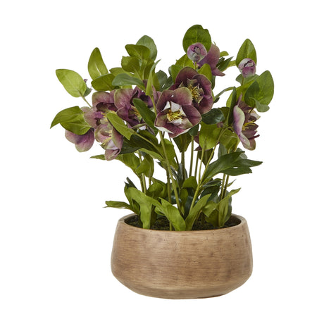 Hill Interiors Deep Plum Hellebore faux plant with purple five-petalled blooms and green toothed leaves in a taupe pot, on a white background.