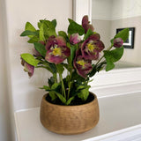 Hill Interiors deep plum hellebore faux plant with purple five-petalled blooms and green leaves in a taupe pot, styled on a white console by a mirror.