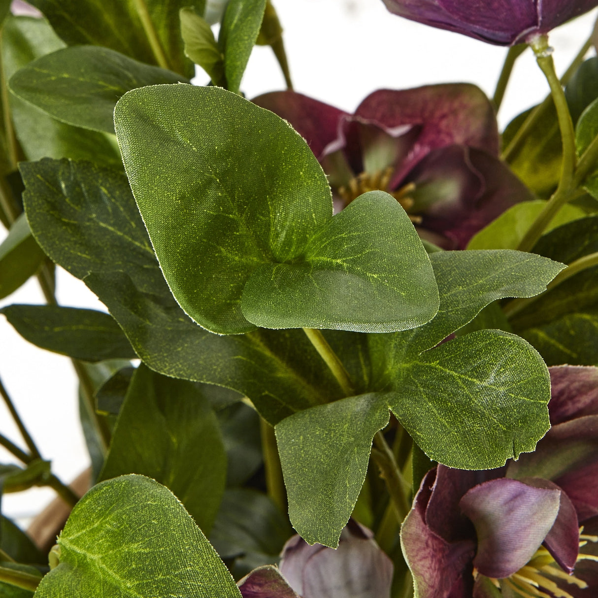 Close-up of the Hill Interiors Deep Plum Hellebore faux plant, showing toothed green palm-shaped leaves and deep purple five-petalled blooms.