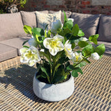 Hill Interiors white hellebore faux plant with pale blooms and green foliage in a grey pot, displayed on a woven table beside an outdoor sofa.