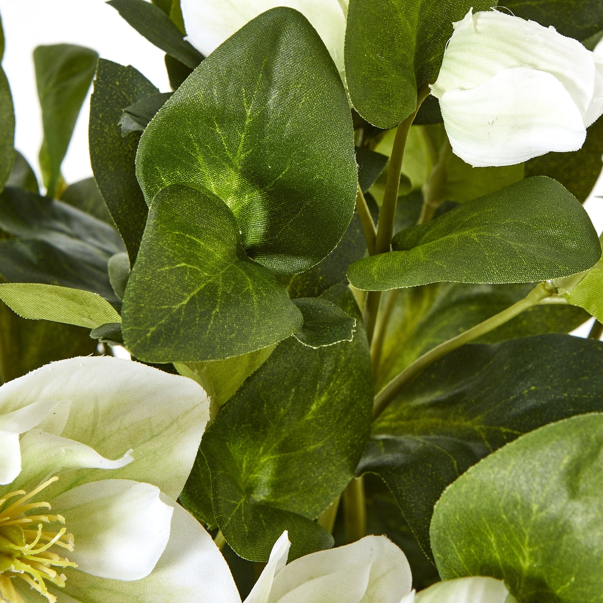 Close-up of Hill Interiors White Hellebore faux plant showing deep green toothed leaves and a white cup-shaped bloom with fine veining and stamens.