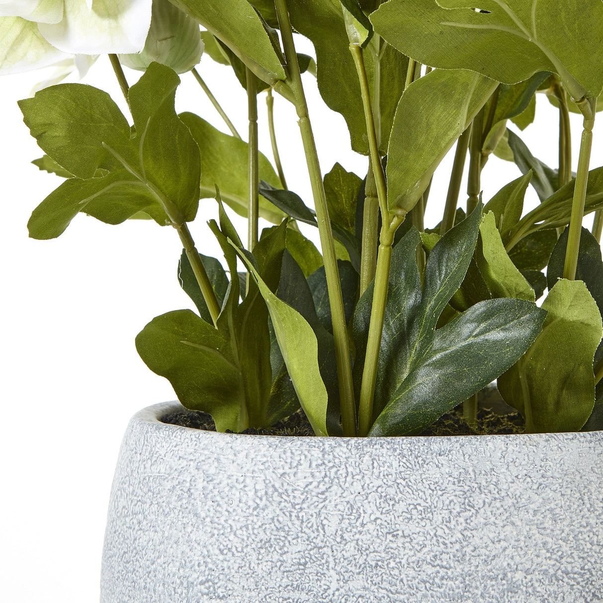 Close-up of the Hill Interiors White Hellebore faux plant showing green toothed leaves and stems rising from a textured grey pot against a white background.