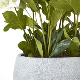 Close-up of the Hill Interiors White Hellebore faux plant showing green toothed leaves and stems rising from a textured grey pot against a white background.