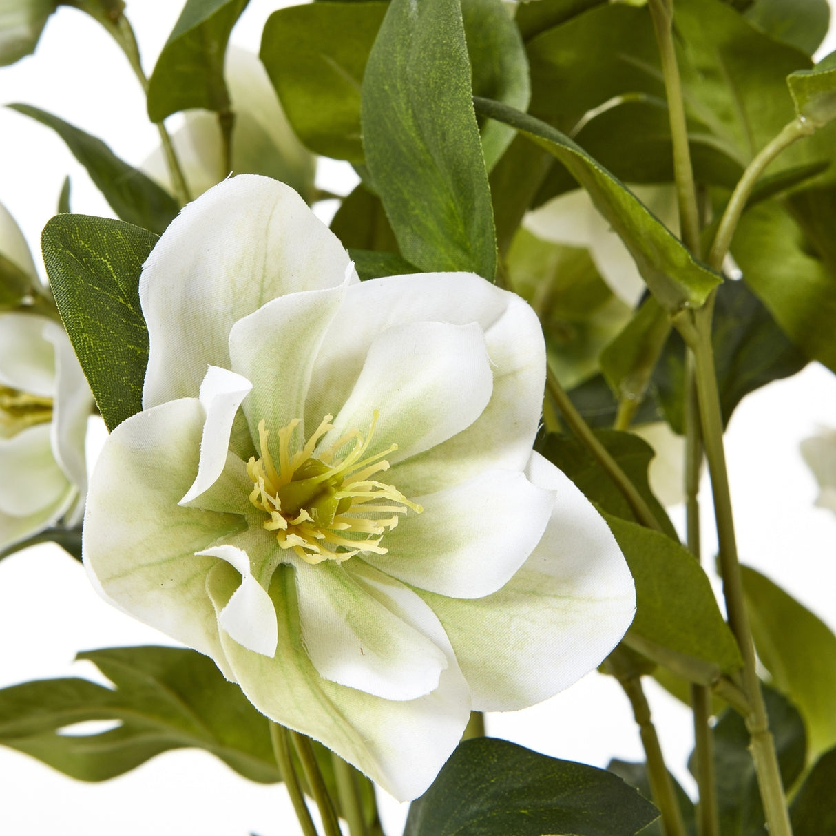 Close-up of Hill Interiors White Hellebore faux plant showing a cup-shaped bloom with pale petals, green veining and yellow stamens among deep green leaves.
