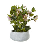 Hill Interiors variegated pink hellebore faux plant with nodding blooms and toothed green foliage in a matte grey pot on a plain white background.