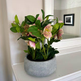 Hill Interiors variegated pink hellebore faux plant with nodding blooms and toothed green leaves in a matte grey pot on a console beside a mirror.