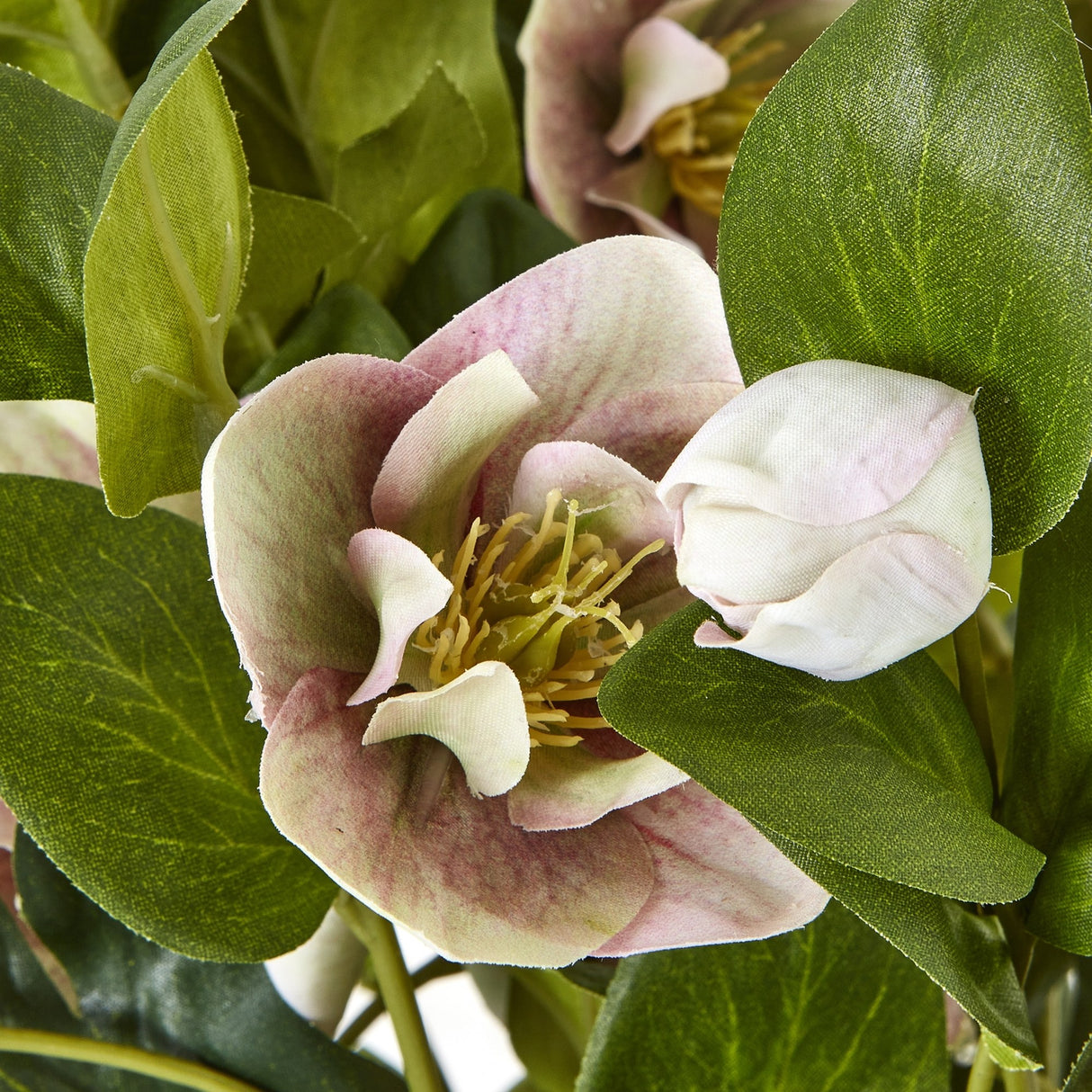 Close-up of the Hill Interiors variegated pink hellebore faux plant, showing a five-petalled bloom with yellow stamens surrounded by toothed green leaves.