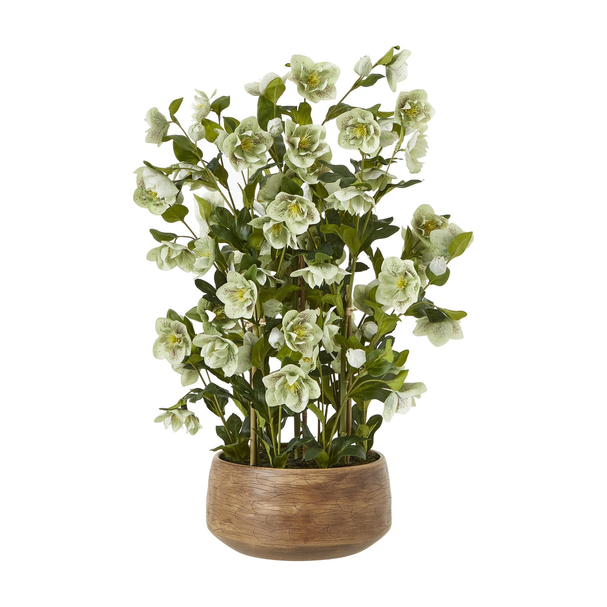 Hill Interiors large green hellebore faux plant with clusters of veined open blooms and foliage in a taupe wood-effect pot on a white background.