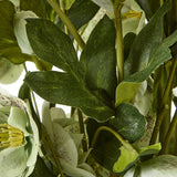 Close-up of Hill Interiors Large Green Hellebore showing veined dark green foliage and pale speckled blooms with yellow stamens on slender stems.