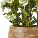 Close-up of Hill Interiors Large Green Hellebore in Taupe Pot, showing speckled green blooms, veined leaves and bamboo stems in a carved taupe planter.