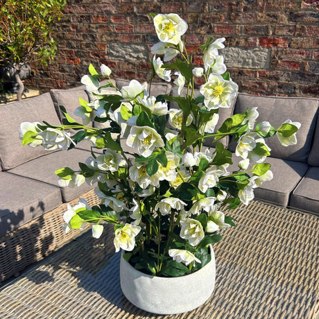Hill Interiors large white hellebore faux plant with cupped blooms and lobed green foliage in a grey pot, displayed on a rattan table beside a garden sofa.