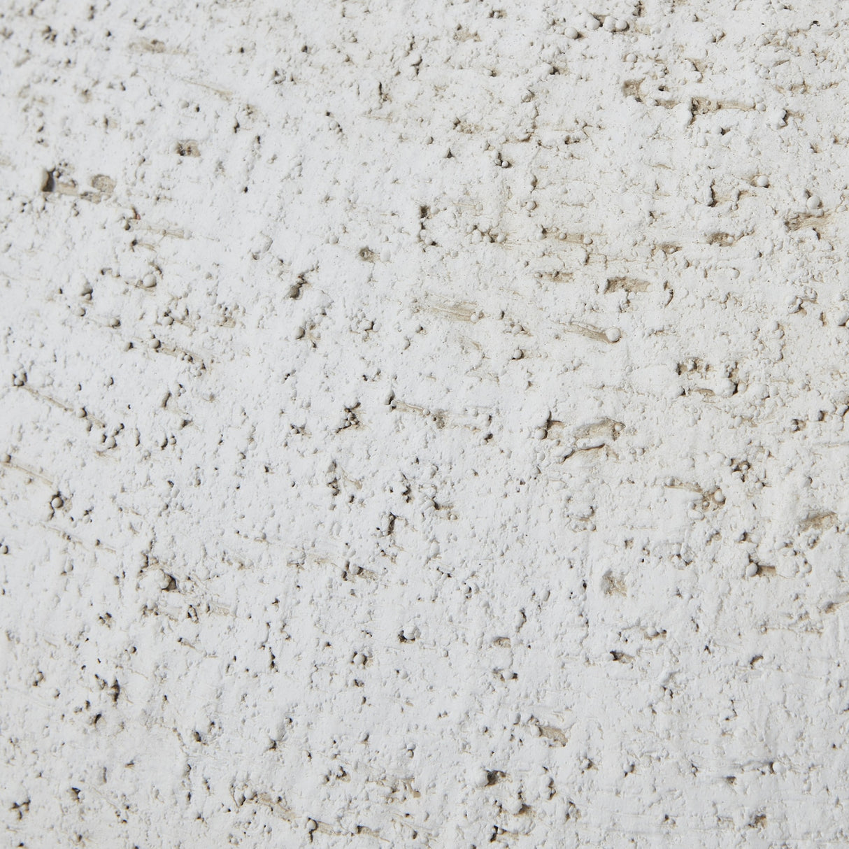 Close-up of the textured white pot surface from the Hill Interiors Ordo Lyme Set Of 2 Planters, showing a rough, speckled matte finish.