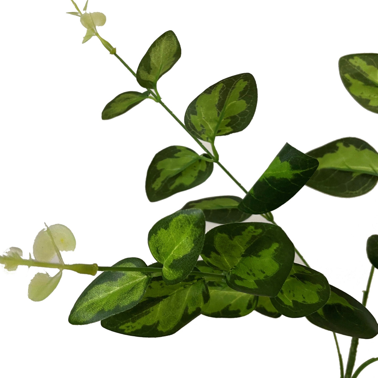 Close-up of Hill Interiors Variegated Leaf Spray showing mottled green faux foliage with pale-edged markings, moulded veining and gently curved plastic stems.