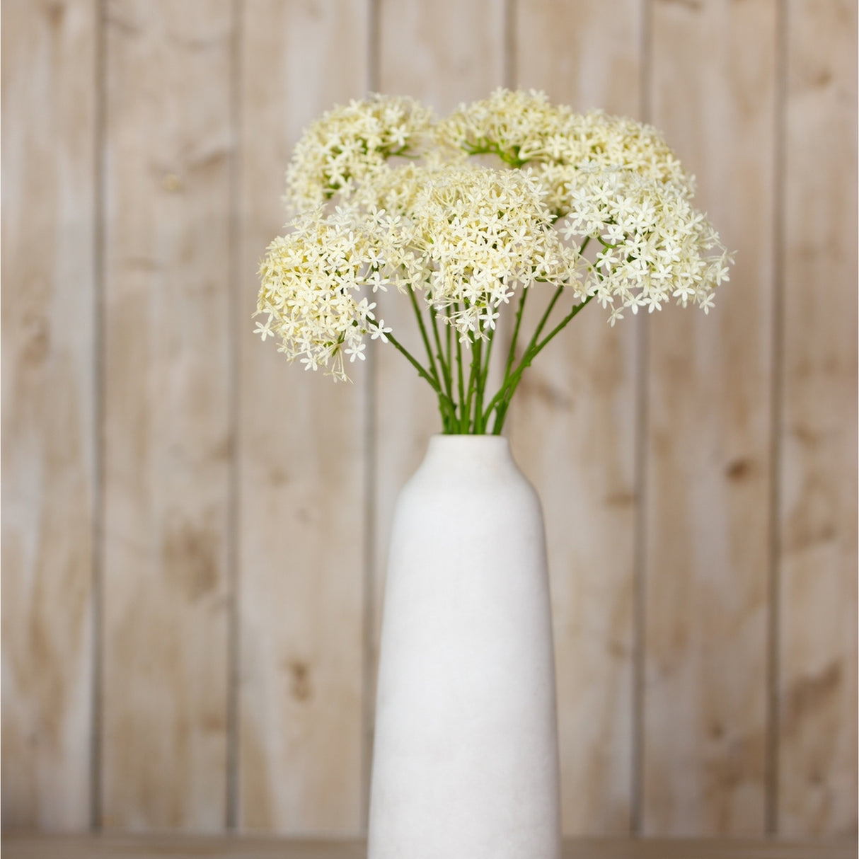 Hill Interiors Three Head Cream Allium Spray with globe-shaped floret clusters on green stems in a tall white ceramic vase against wood panelling.