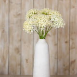Hill Interiors Three Head Cream Allium Spray with globe-shaped floret clusters on green stems in a tall white ceramic vase against wood panelling.