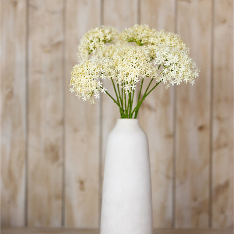 Hill Interiors Three Head Cream Allium Spray with globe-shaped floret clusters on green stems in a tall white ceramic vase against wood panelling.