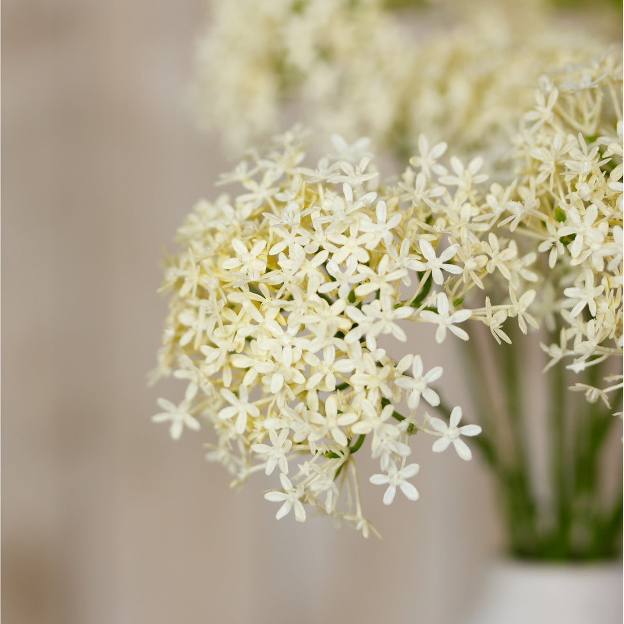 Close-up of Hill Interiors Three Head Cream Allium Spray showing globe-shaped clusters of tiny cream florets on green stems against a soft neutral background.
