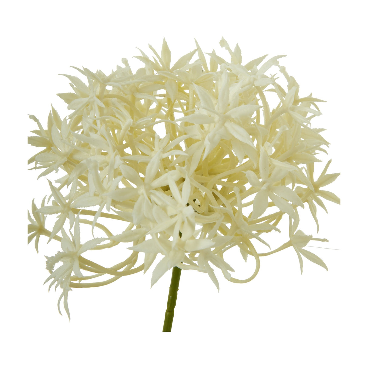 Hill Interiors Three Head Cream Allium Spray close-up showing a globe-shaped cluster of tiny cream florets on a green stem against a white background.