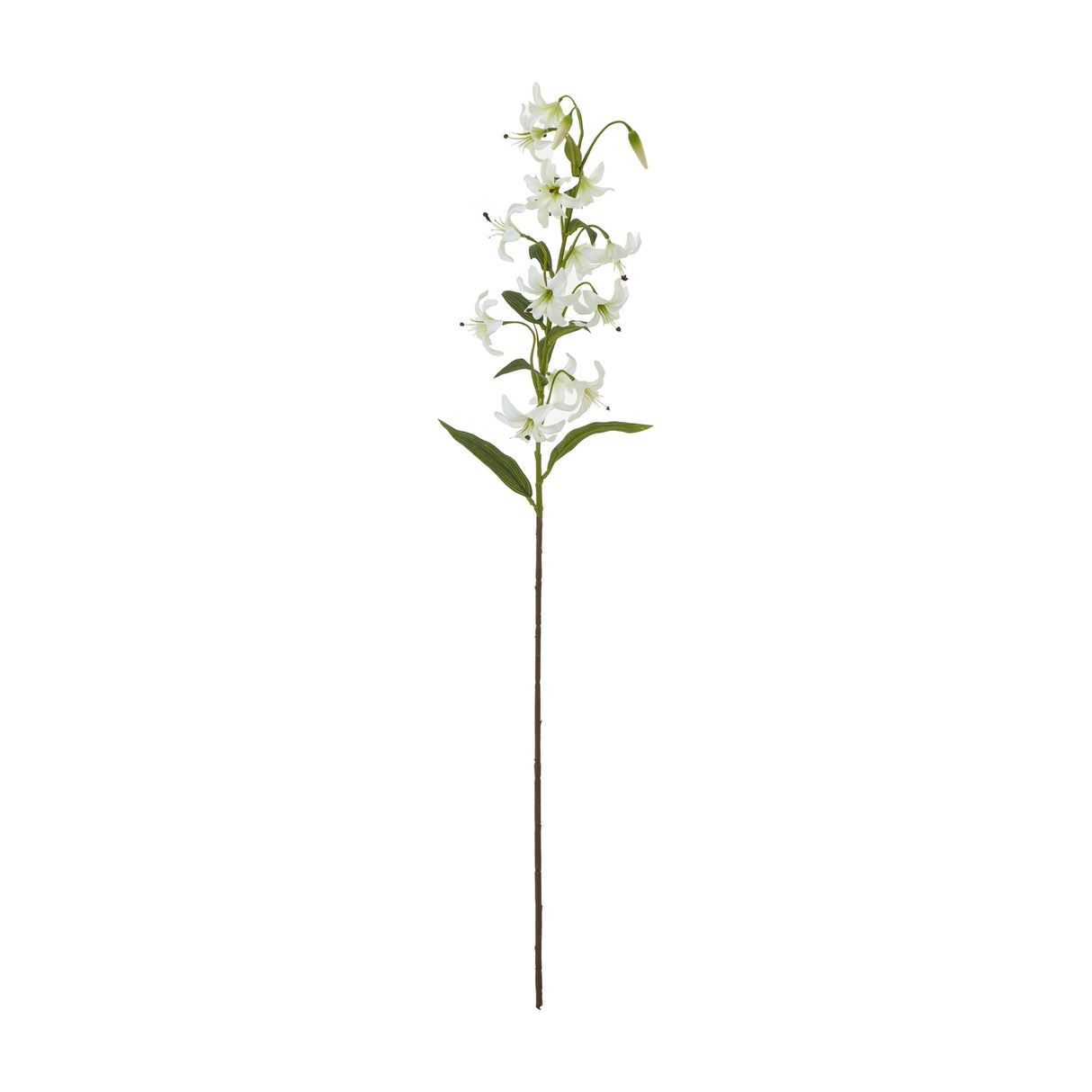 Hill Interiors Turks Cap Green Lily Spray with recurved white-green blooms, long stamens and slim leaves on a tall stem, shown on a white background.