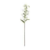 Hill Interiors Turks Cap Green Lily Spray with recurved white-green blooms, long stamens and slim leaves on a tall stem, shown on a white background.