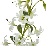 Hill Interiors Turks Cap Green Lily Spray with recurved white-green petals, long stamens, buds and slim leaves along the stem, on a white background.