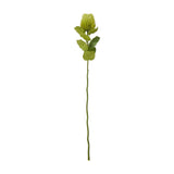 Hill Interiors Green Banksia Stem faux flower with cone-shaped floret head and slim leaves on a plastic stem, shown against a plain white background.