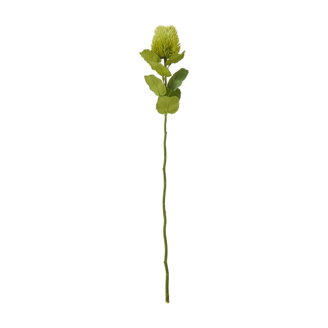 Hill Interiors Green Banksia Stem faux flower with cone-shaped floret head and slim leaves on a plastic stem, shown against a plain white background.