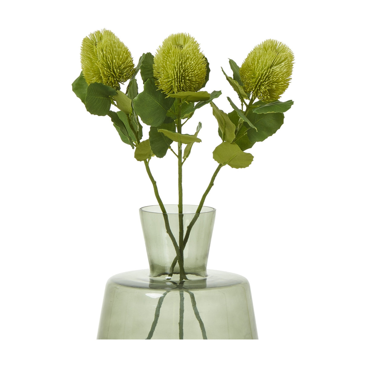Hill Interiors Green Banksia Stem arrangement with three cone-shaped florets and leaves displayed in a green glass vase.