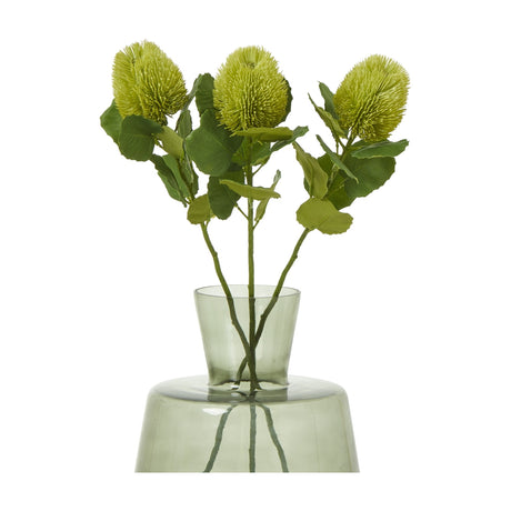 Hill Interiors Green Banksia Stem arrangement with three cone-shaped florets and leaves displayed in a green glass vase.