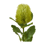 Hill Interiors Green Banksia Stem faux flower with a dense cone-shaped green floret head and slim green leaves along the plastic stem, on a white background.