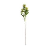Hill Interiors Green Safflower Spray faux flower stem with rounded green buds, spiky bracts and tapering foliage on a plain white background.