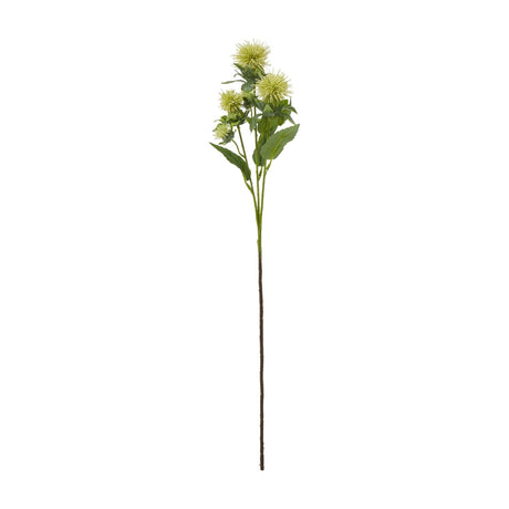 Hill Interiors Green Safflower Spray faux flower stem with rounded green buds, spiky bracts and tapering foliage on a plain white background.