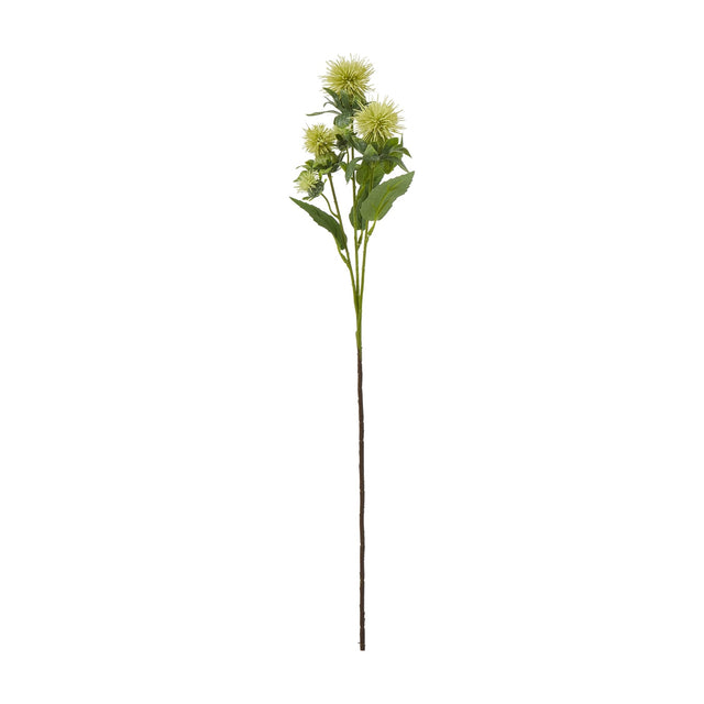 Hill Interiors Green Safflower Spray faux flower stem with rounded green buds, spiky bracts and tapering foliage on a plain white background.