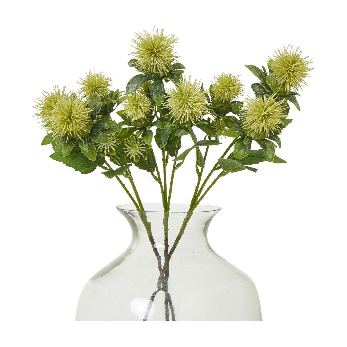 Hill Interiors Green Safflower Spray with rounded spiky green buds and muted foliage arranged in a clear glass vase against a white background.